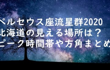 ペルセウス座流星群2020北海道